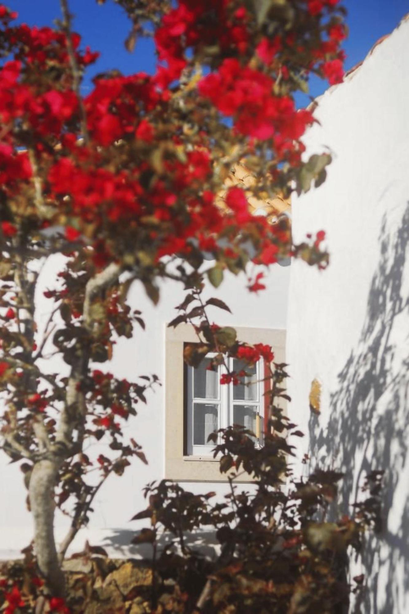 Casas Da Tia Alice - Casas De Campo Encantadoras Em マフラ エクステリア 写真