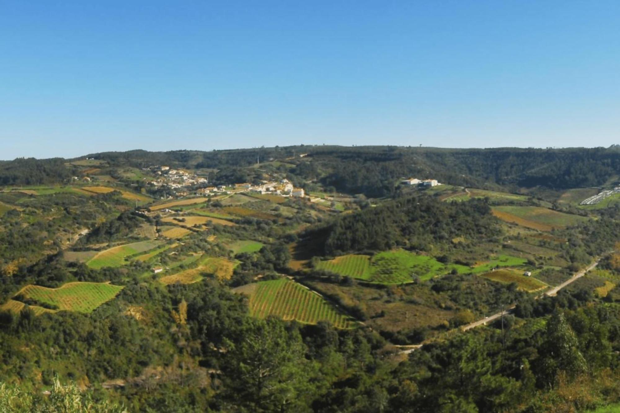 Casas Da Tia Alice - Casas De Campo Encantadoras Em マフラ エクステリア 写真